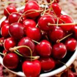 Kashmiri-Cherry